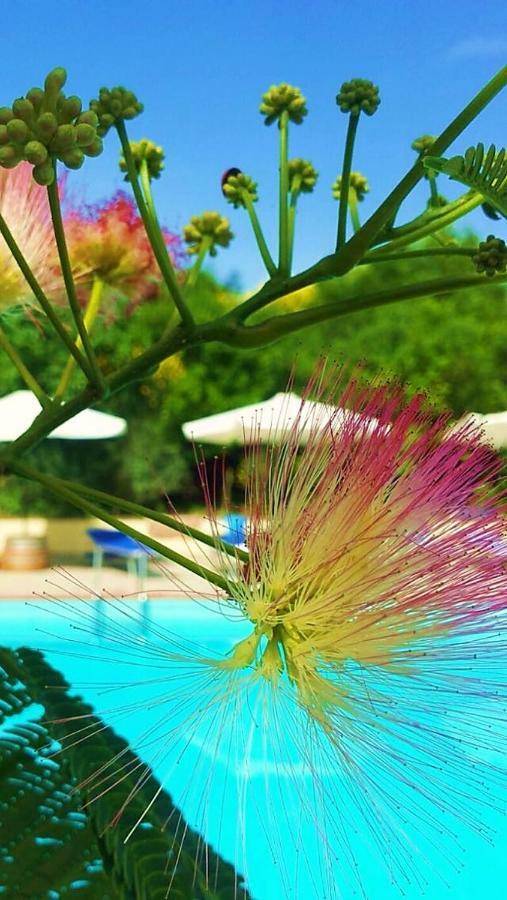 אפרטהוטל ריפרבלה Agriturismo Terenzana מראה חיצוני תמונה